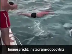 New Zealand Man Attempts To "Body Slam" Orcas, Government Body Calls It "Stupid Behaviour"