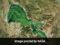 California's Clear Lake Turns Green With Algae, Visible From Space, Says NASA