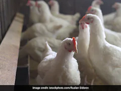 First Confirmed Human Case Of H5N2 Bird Flu Died Of Multiple Factors: WHO