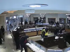 Video: 20 Robbers vs 1 Guard. Indian Jeweller In US Emptied Within Minutes