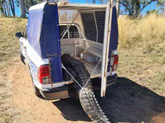 Dog-Eating Crocodile That Terrorised Australian Village Killed And Cooked For Feast