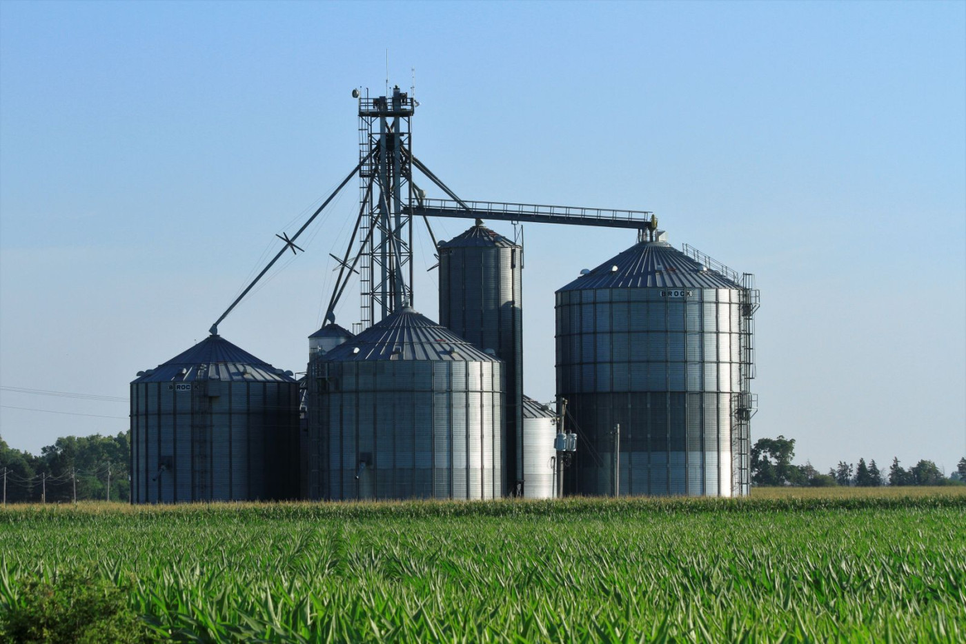 Is The Grain Market Assuming Too Much Too Soon?