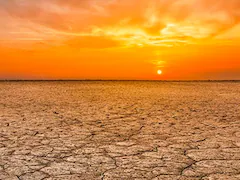 "Deadly Heat" Made 35 Times More Likely Due To Global Warming: Scientists