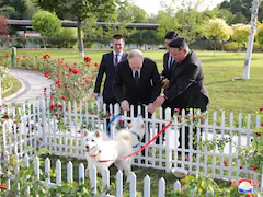 For Putin, A Pair Of Dogs As Gift From Kim Jong Un During North Korea Tour