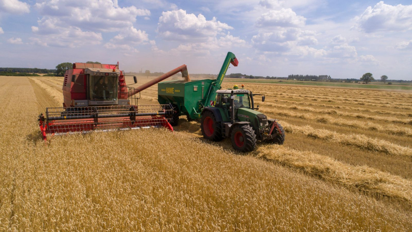 Wheat Rallies Double Digits with Export Assistance