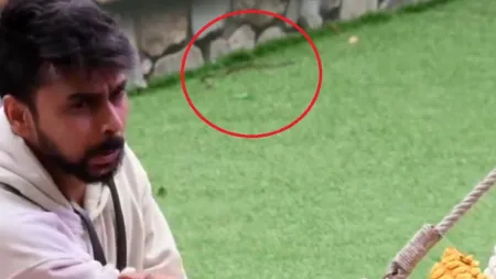 Fans spot snake crawling behind handcuffed Lovekesh Kataria in Bigg Boss OTT 3 house. Watch