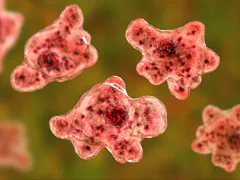 Brain-Eating Amoeba Kills Pak Man After He Went Swimming: Report