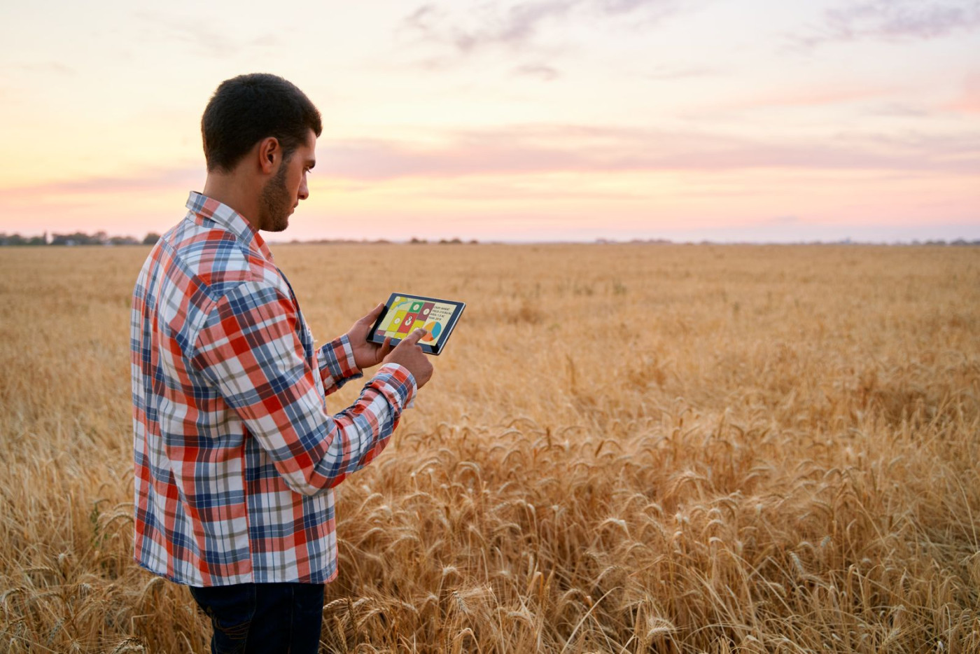 Wheat Slips Back Lower into the Close