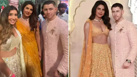 Influencer who ‘dissed’ Priyanka Chopra at Anant-Radhika wedding apologises in Instagram post: ‘My brain was exploding’