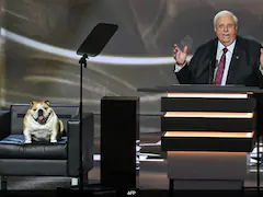 'Babydog', The English Bulldog, Steals The Spotlight At Republican National Convention