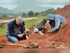 200-Million-Year-Old "Well-Preserved" Dinosaur Fossil Found After Brazil Flood