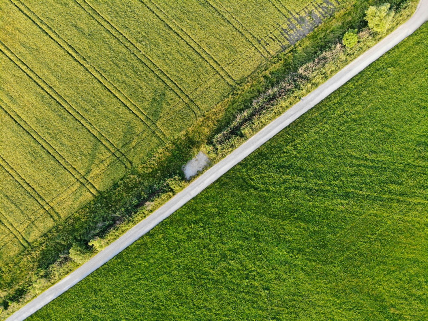 Grain Markets Rally to Start the Week