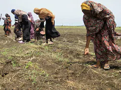 In Sudan, Women Forced To Line Up For Sex With Soldiers For Food: Report