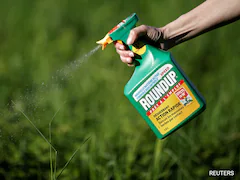 Can Bayer Weedkiller Cause Blood Cancer? What Australian Court Said