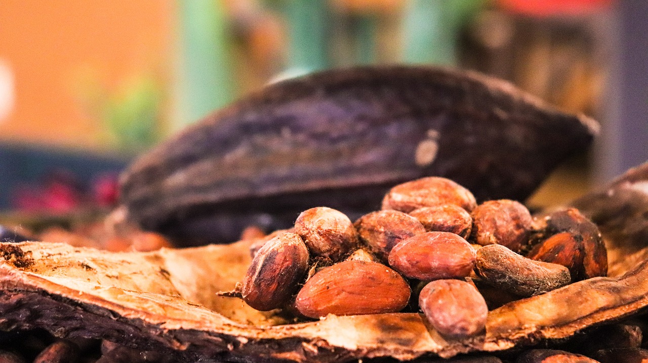 Cocoa Rallies as Wet Weather in West Africa May Spread Disease to Cocoa Crops