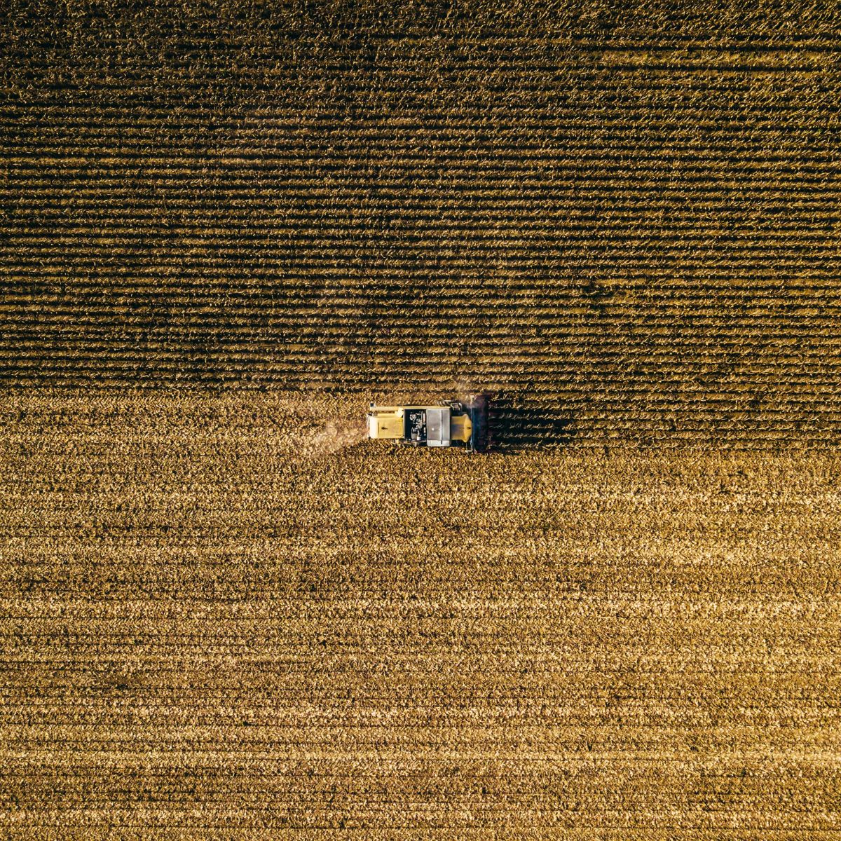 Wheat Slips Lower on Tuesday