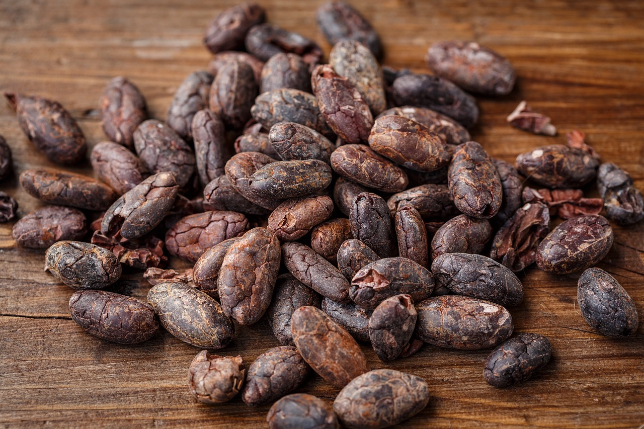 Cocoa Prices Finish Lower on Optimism Over Next Season's Cocoa Crop