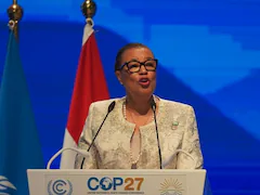 India Is Not Responsible For Climate Crisis, But...: Commonwealth Head