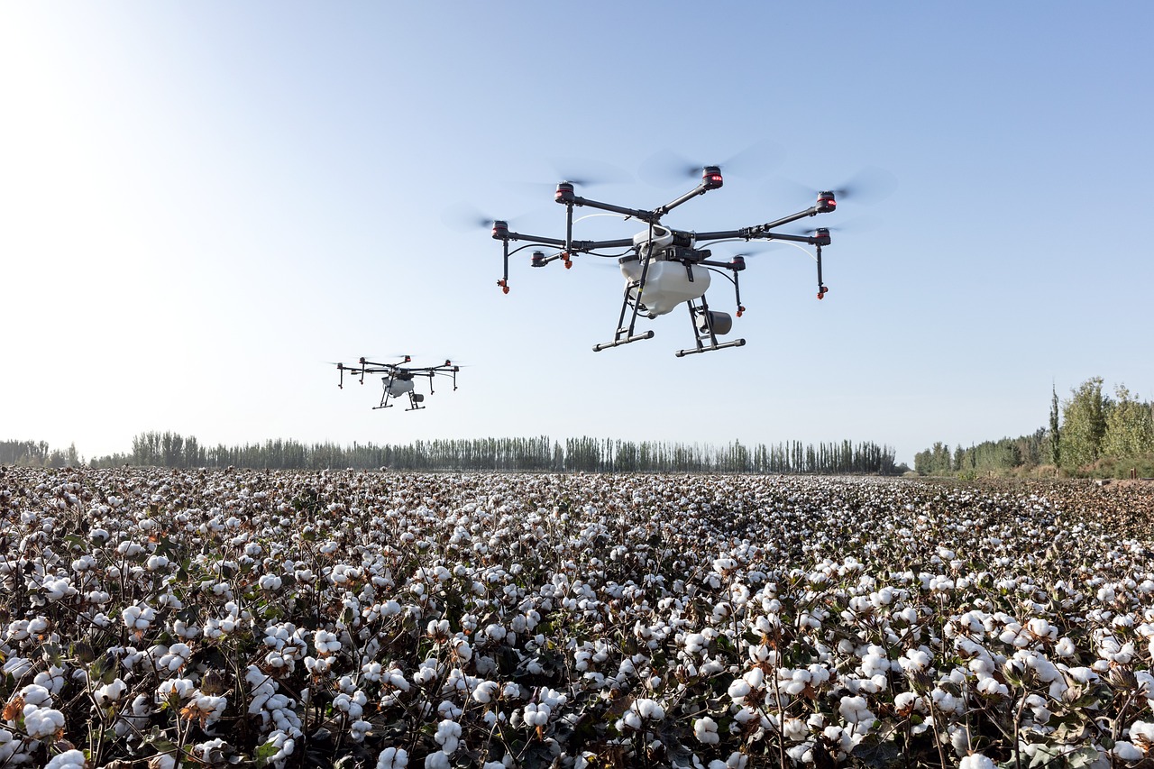 Cotton Seeing Some Buying on Friday AM