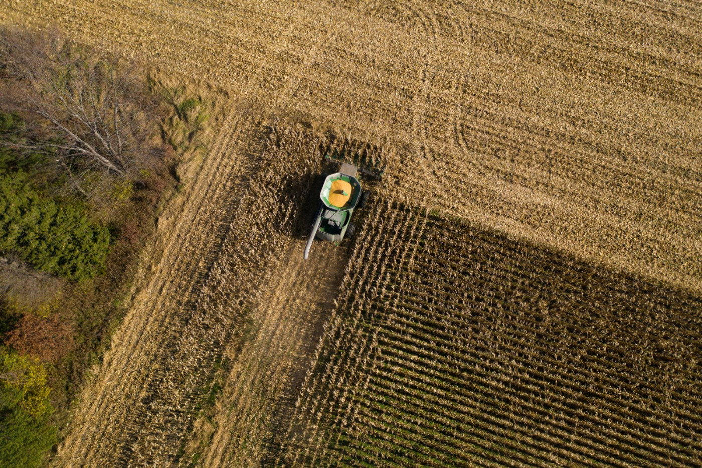 Grain Futures Continue to Drift Lower in Thursday's Trade