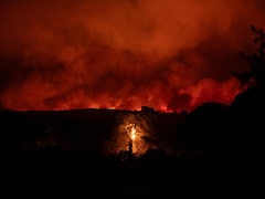 Raging Wildfire Forces Dozens To Evacuate In Greece