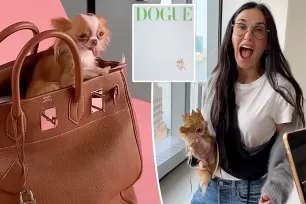 Demi Moore’s dog Pilaf poses in an Hermès Birkin bag for pup-themed Vogue cover