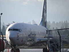 Alaska Airlines Flight Diverted After Pilot's Shocking Confession: ''Not Certified To Land"