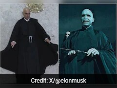 Elon Musk Compares Brazil's Chief Justice To Harry Potter Villain Voldemort