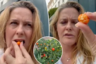 ‘Clueless’ star Alicia Silverstone sparks fan concern by eating ‘poisonous’ berry: ‘Are you alive and well!?!’