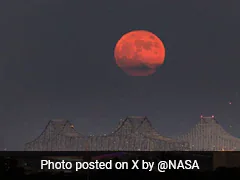 Elon Musk Says 1st Supermoon Of 2024, Also A Blue Moon, "Looks Amazing"