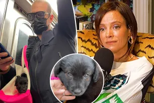 Lily Allen slammed for returning dog to shelter after it ate passports