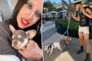 Lady Gaga gets new pup 3 years after dognapping horror