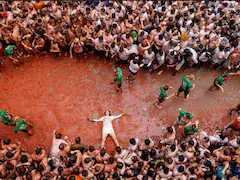 In Pics: Spain's Iconic Tomatina Festival In Full Glory