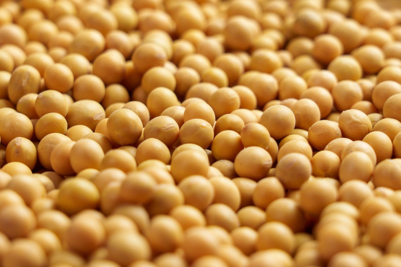 Soybeans Falling Double Digits to Start Wednesday