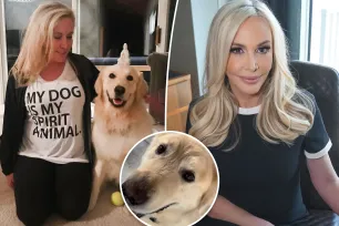 Shannon Beador clarifies her beloved dog, Archie, is not dead after saying he was ‘in heaven’