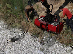 Greek Port City Declares State Of Emergency Over Flood Of Dead Fish