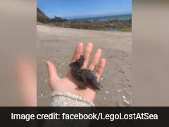 27 Years After The Great Lego Spill, Toy Pieces Still Washing Up On Beaches