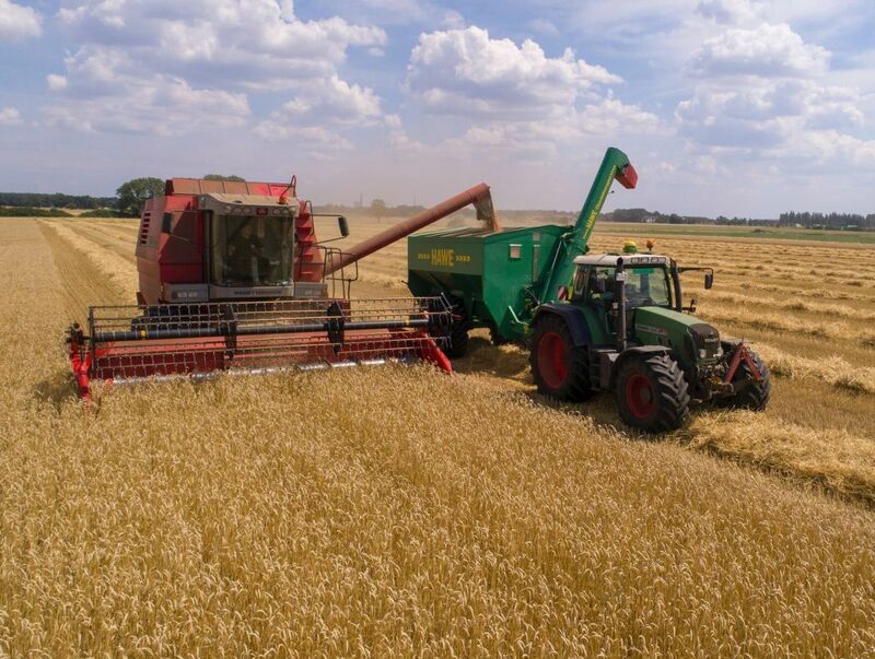 Wheat Closes Mixed, with Spring Wheat Stronger