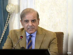 Pak Wants Peaceful Relations With All Its Neighbours, Says Shehbaz Sharif