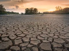 Drought Sinks Longest Polish River To Record-low Level