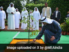 UAE Crown Prince's Rajghat Visit Carries Forward A Unique Tradition