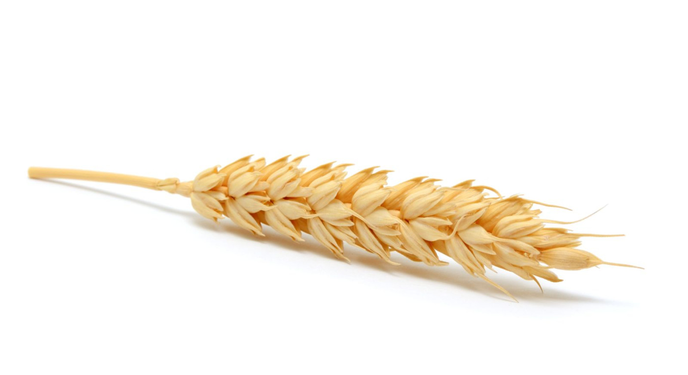 Wheat Closes Mixed on Monday