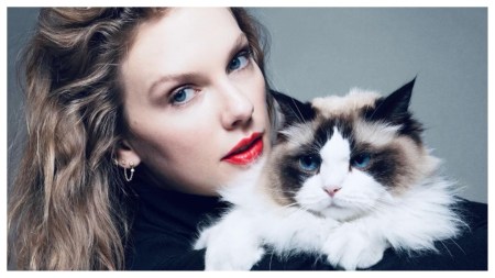 Taylor Swift endorses Kamala Harris and takes a jab at Donald Trump, signs off as ‘childless cat lady’