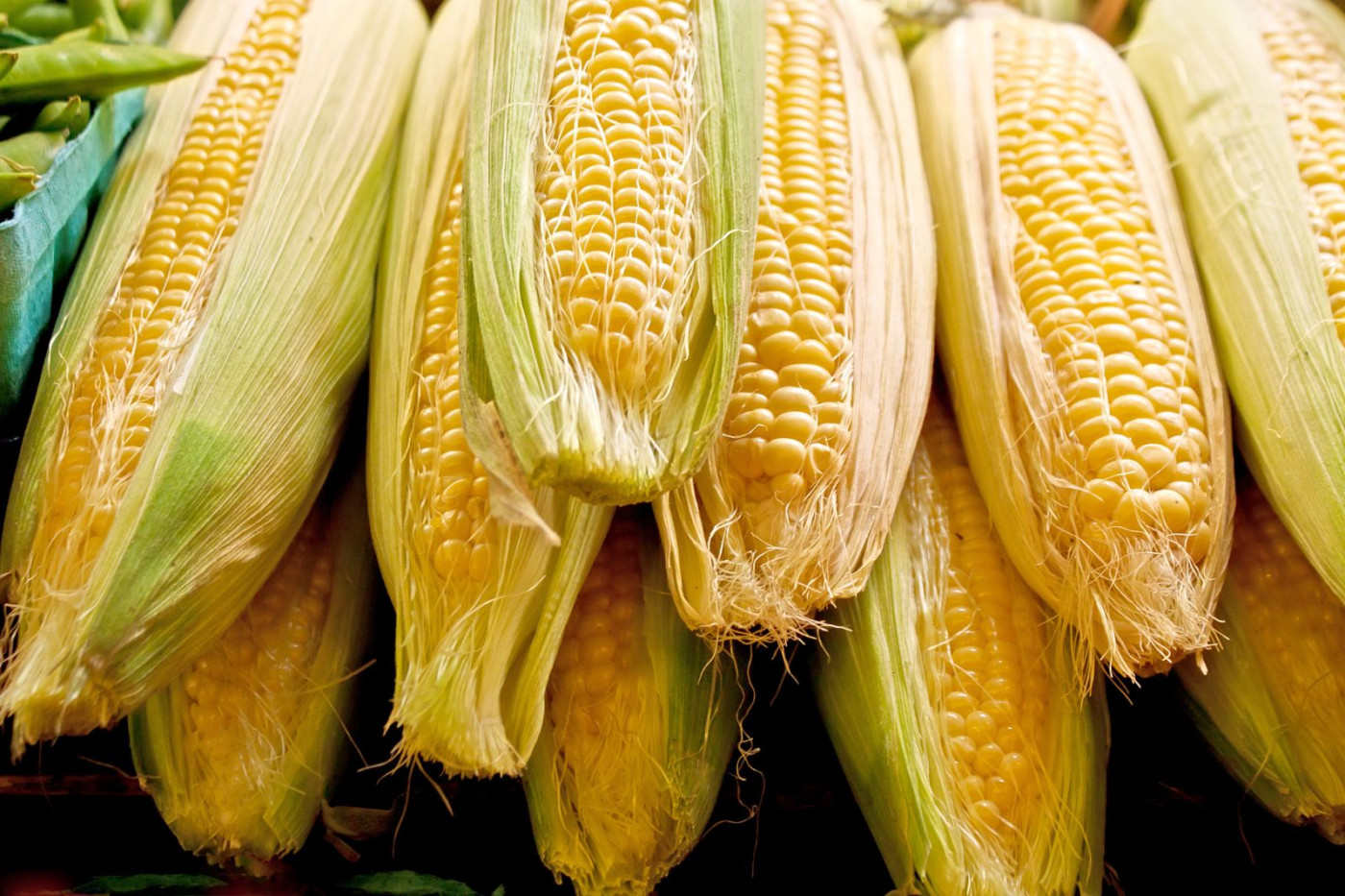 Corn calendar spread and a Feeder Cattle calendar spread