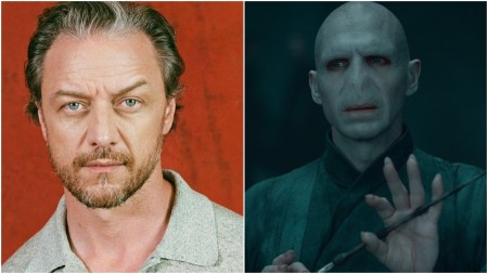 James McAvoy says he auditioned to play young Voldemort in Harry Potter films