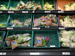 Over 3,600 Food Packaging Chemicals Found In Human Bodies In New Study