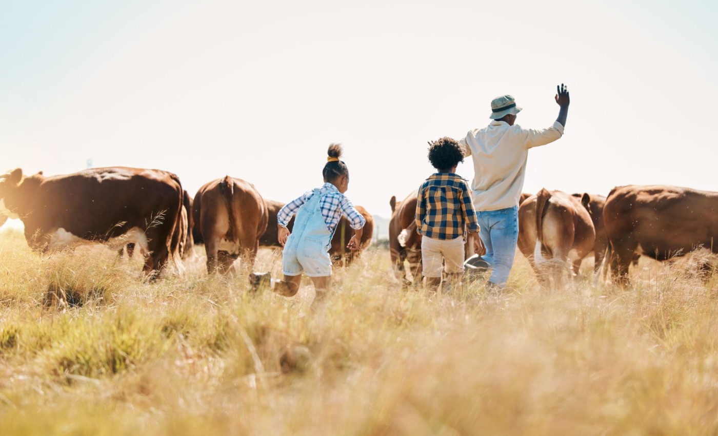 The Cattle on Feed Report is Out!