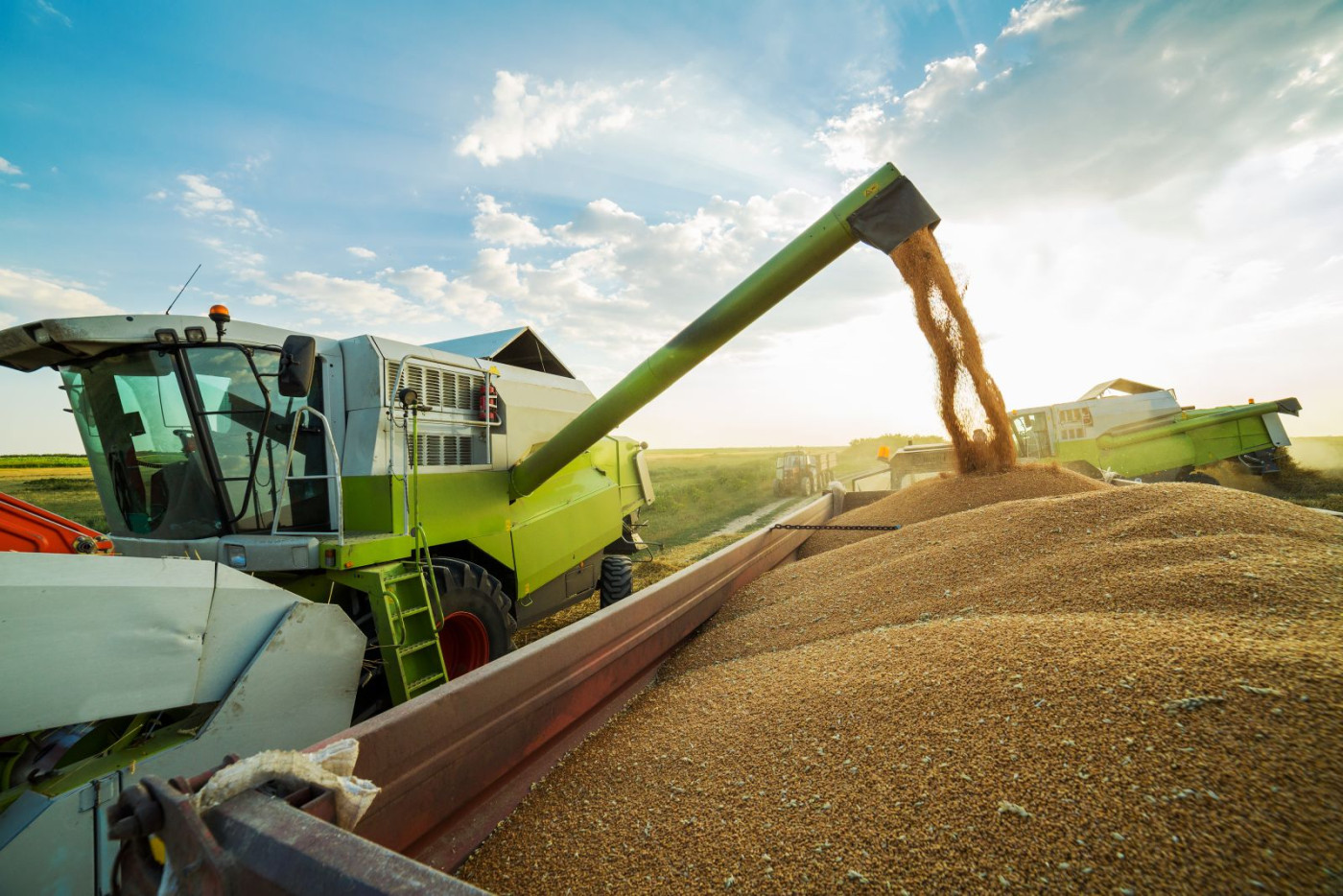 Shootin' the Bull about Cattle, Grains and Port Strikes