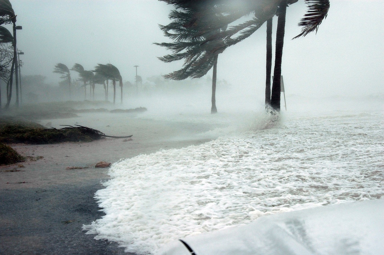 Another Hurricane for Florida: Weather forecasting techniques and financial market impacts